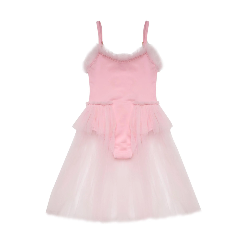 Elanore Dress Ballet