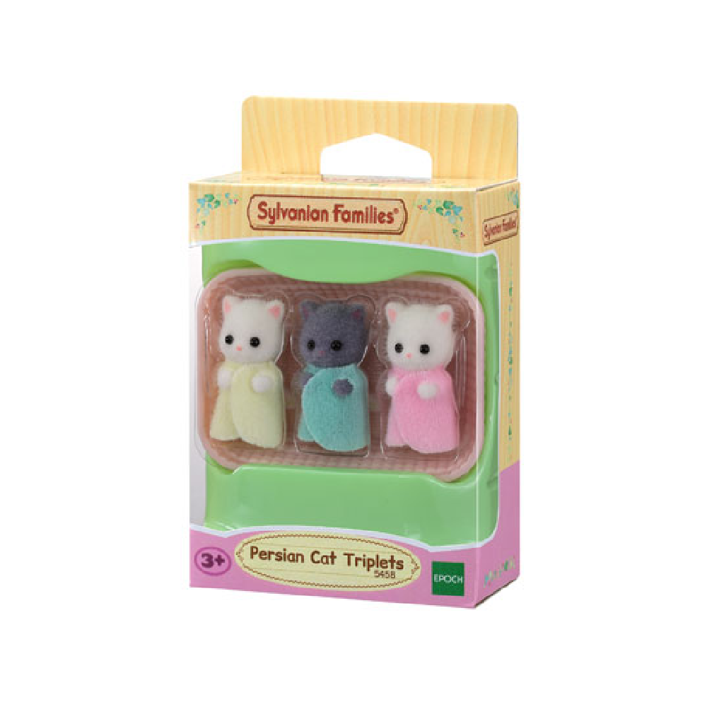 Persian Cat Triplets