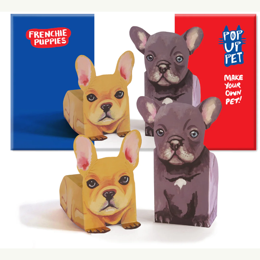 Pop Up Pet Frenchie Puppies