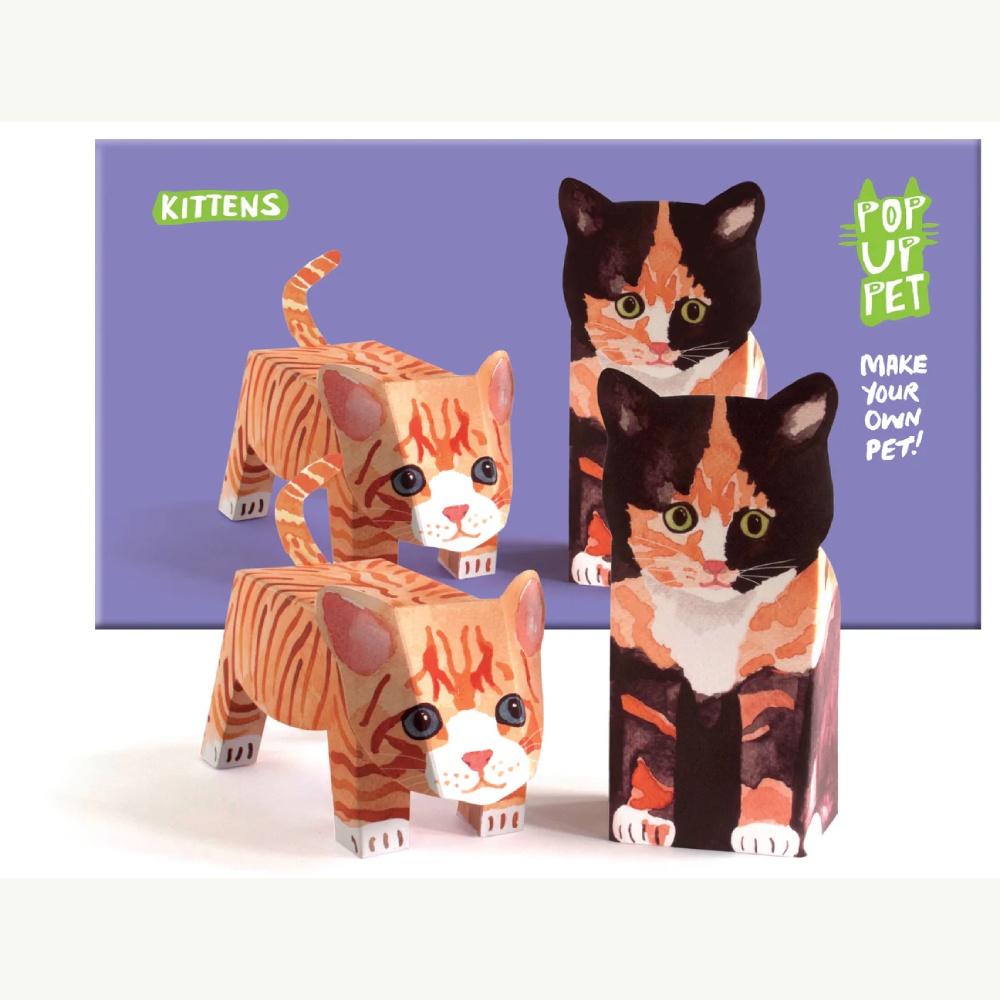 Pop Up Pet Kittens