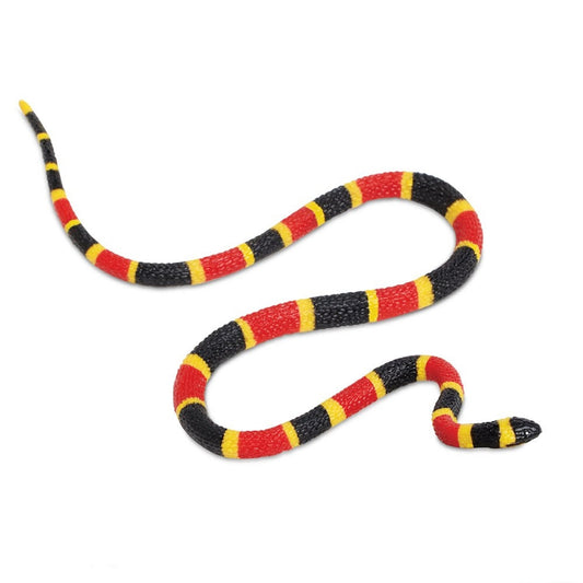 Coral Snake Baby Incredible Creature