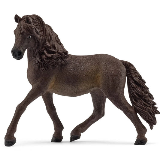 Andalusien Mare Limited Edition