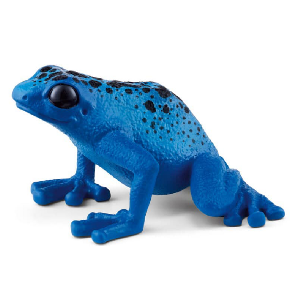 Blue Poison Dart Frog