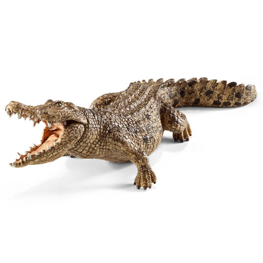 Crocodile