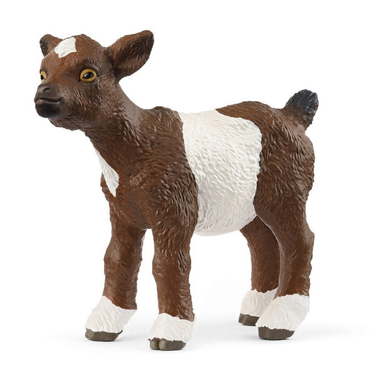 Goat Kid