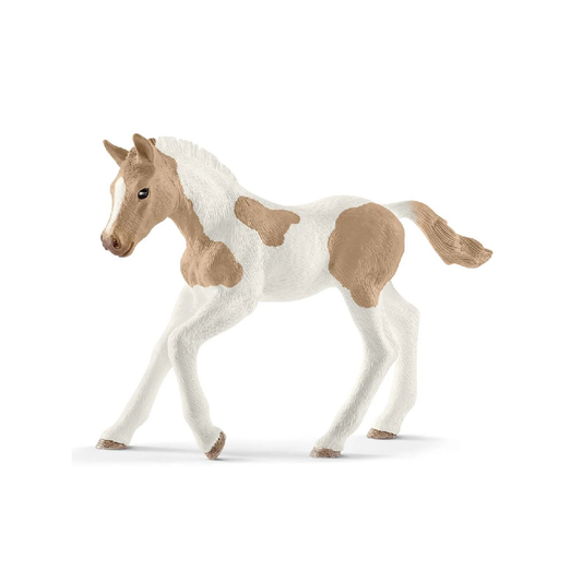 Paint Horse Foal Light