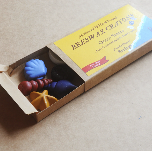 Ocean Shells 8 Natural Beeswax Seashell Crayons