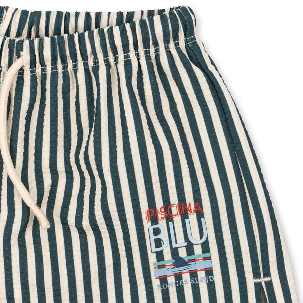 Seer Asnou Sea Moss Swim Shorts
