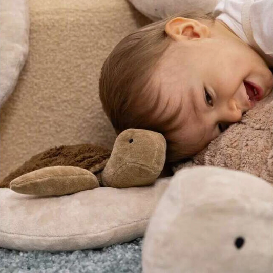 Cuddly Animal Turtle Small Brown with Removable Heat/ Cool Pack