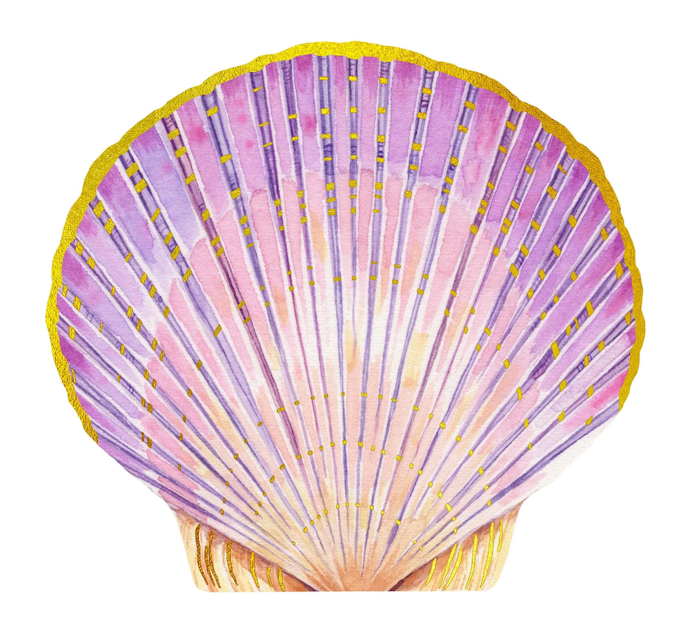 Shell Notes Set of 12