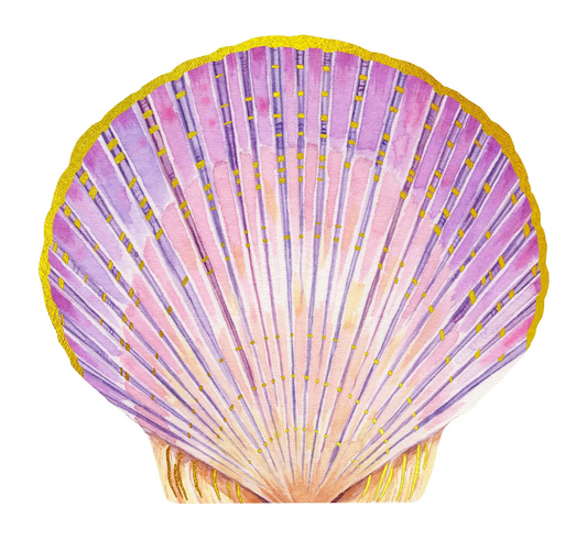 Shell Notes Set of 12