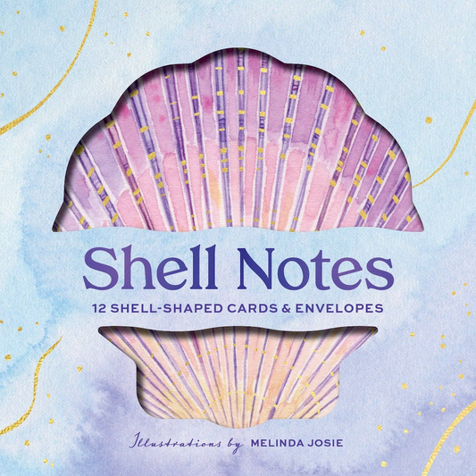 Shell Notes Set of 12