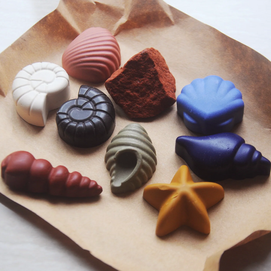 Ocean Shells 8 Natural Beeswax Seashell Crayons
