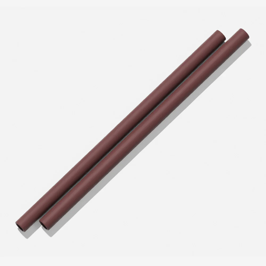 Silicone Straws 2 Pack Coco