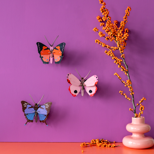 Wall Art B7 Large Fox Butterfly