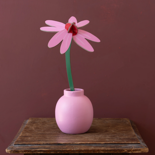 Everlasting Flowers Pink Coneflower