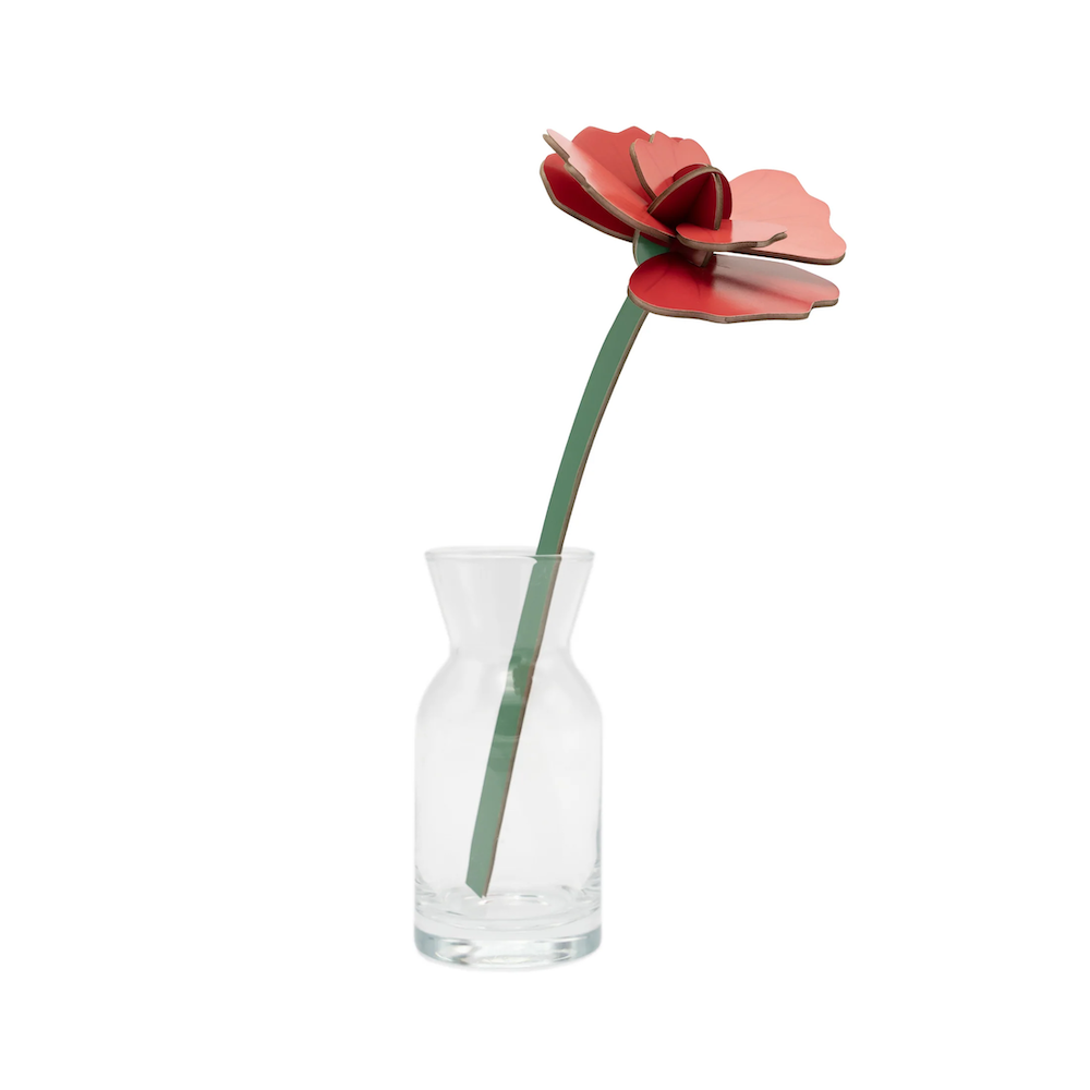 Everlasting Flowers Red Rose