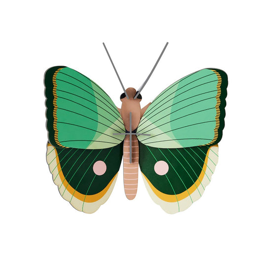 Wall Art B7 Fern Striped Butterfly