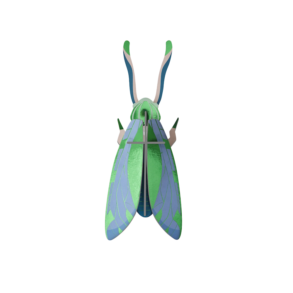 Wall Art Beetles B6 Jade Grasshopper
