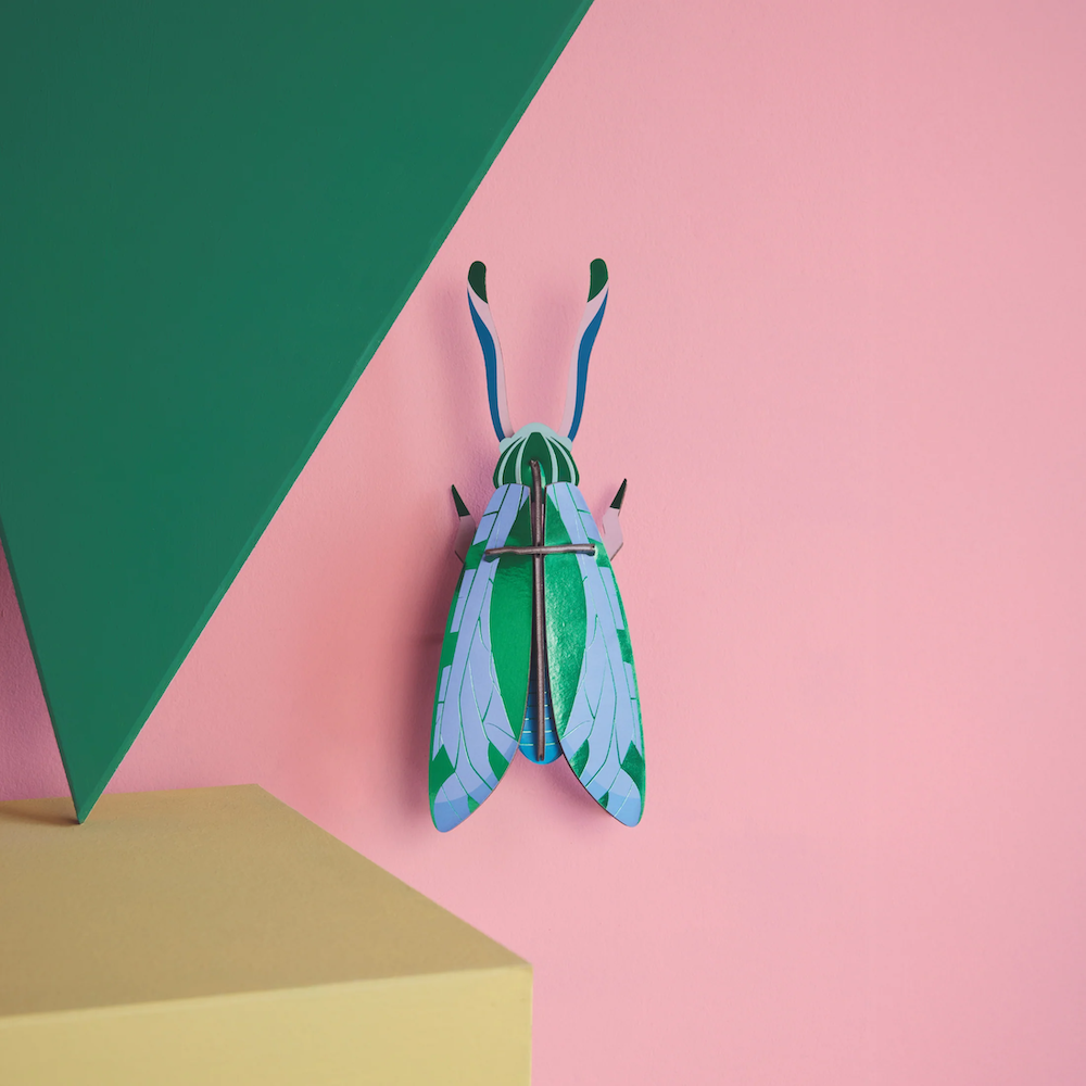 Wall Art Beetles B6 Jade Grasshopper