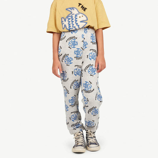 Dromedary Kids Pants Grey