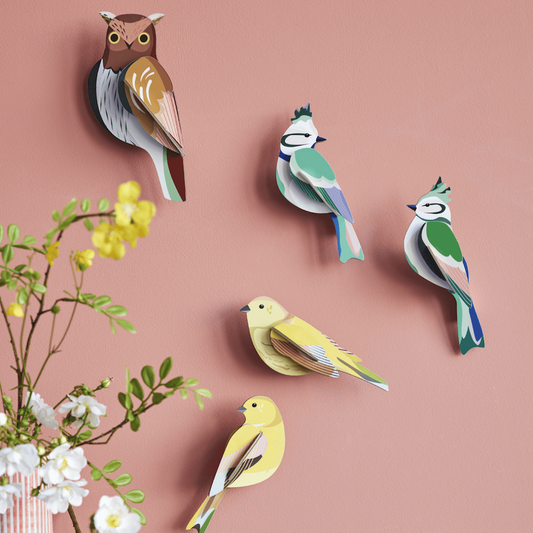 Wall Art B6 Tawny Owl