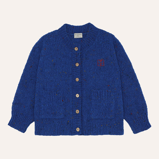 Blue Cardigan