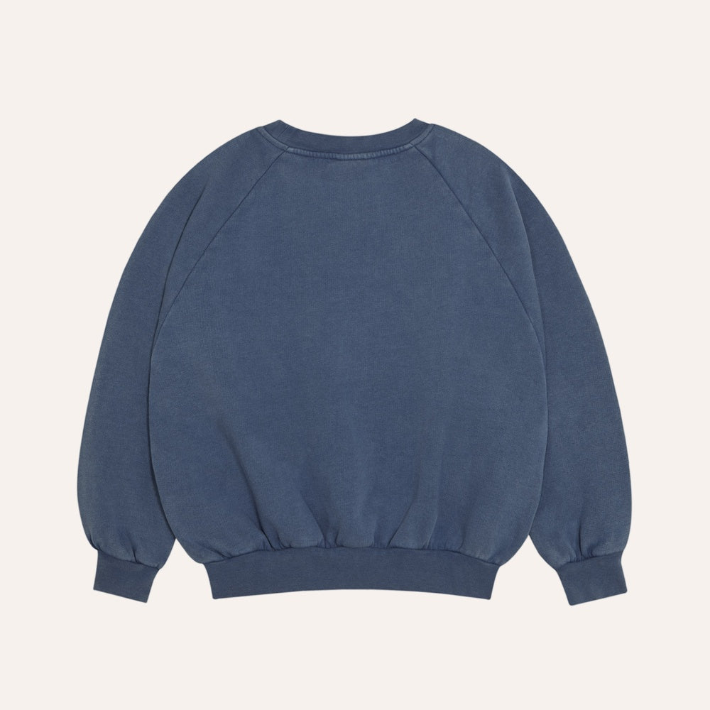 The Campamento Blue Sweatshirt
