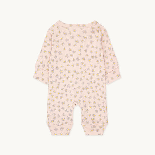 Daisies One Piece Wild Rose