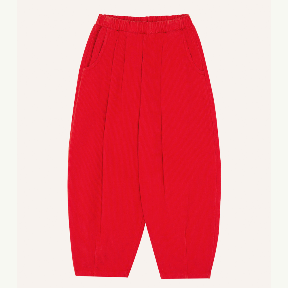Red Corduroy Trousers