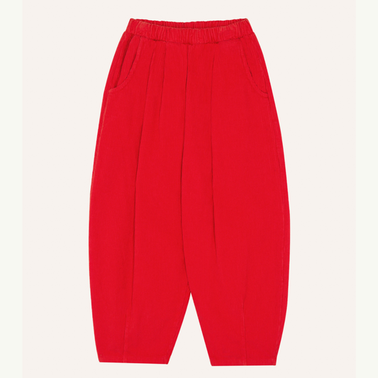 Red Corduroy Trousers