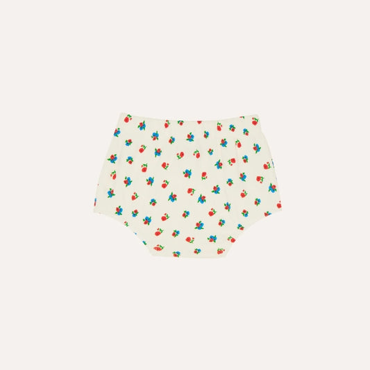Small Flowers Allover Baby Bloomer