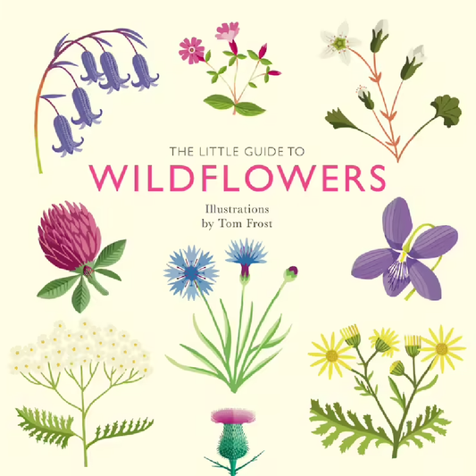 The Little Guide To Wildflowers