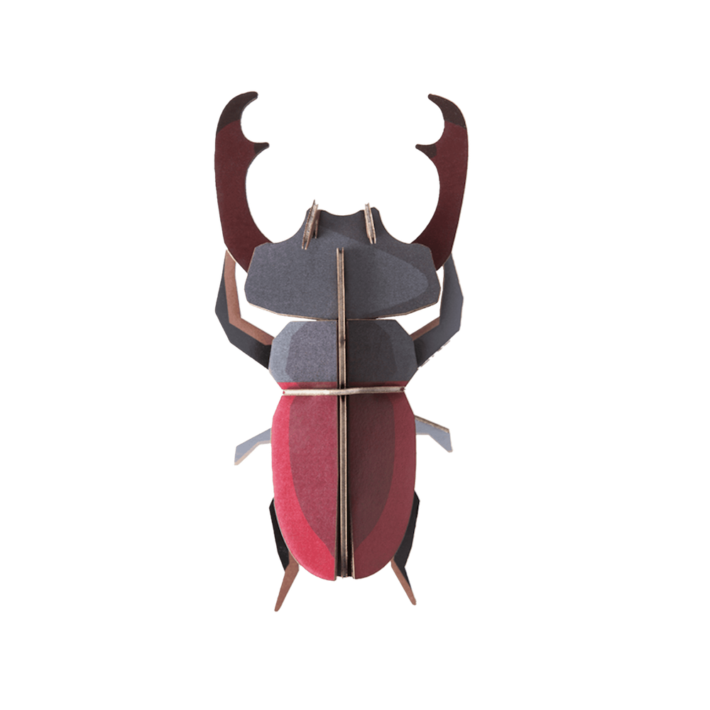 Wall Art B7 Stag Beetle