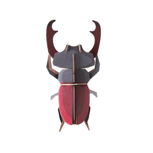 Wall Art B7 Stag Beetle