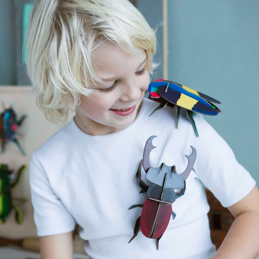 Wall Art B7 Stag Beetle