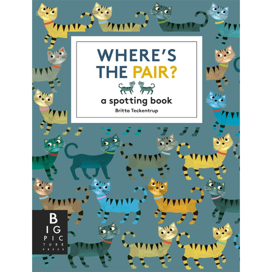 Where's The Pair? A Spotting Book