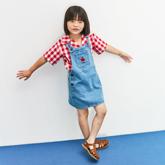 Apple Denim Dress
