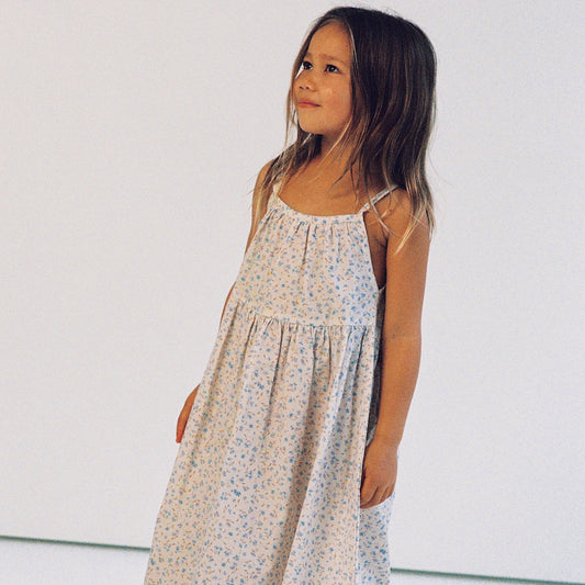 Darcy Dress Indigo Bloom