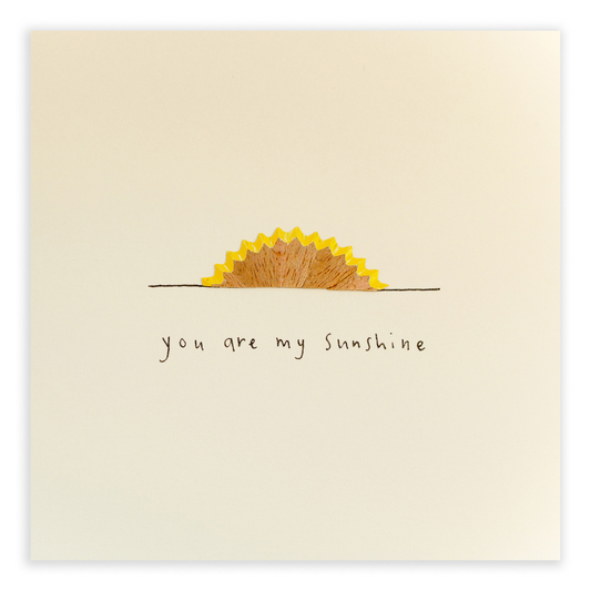 You Are My Sunshine Pencil Shavings Greeting Card