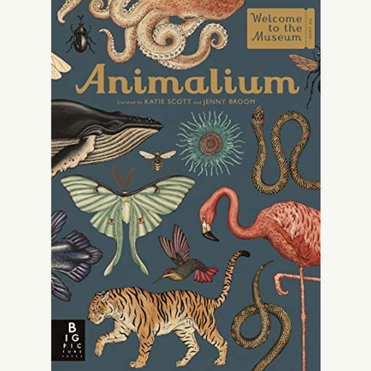 Animalium: Welcome to the Museum