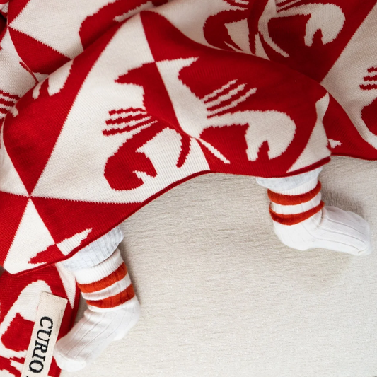 Rock Lobster Baby Blanket