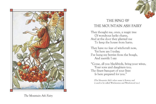 Flower Fairies of the Autumn - Mini Book