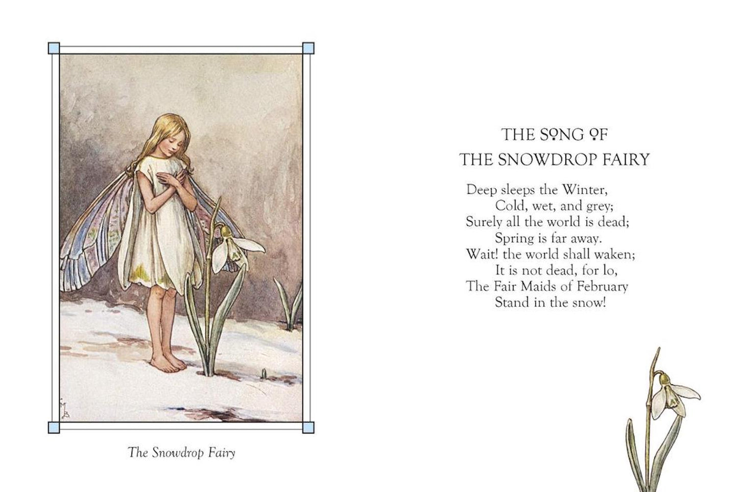 Flower Fairies of the Winter- Mini Book