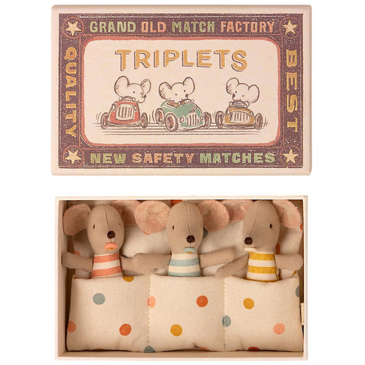 Mice Triplets Baby In Matchbox