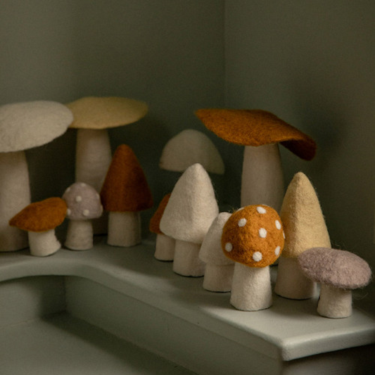 Morel Mushroom Large Tender Wheat