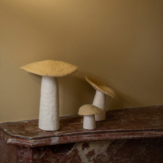 Mushroom Large Tender Wheat