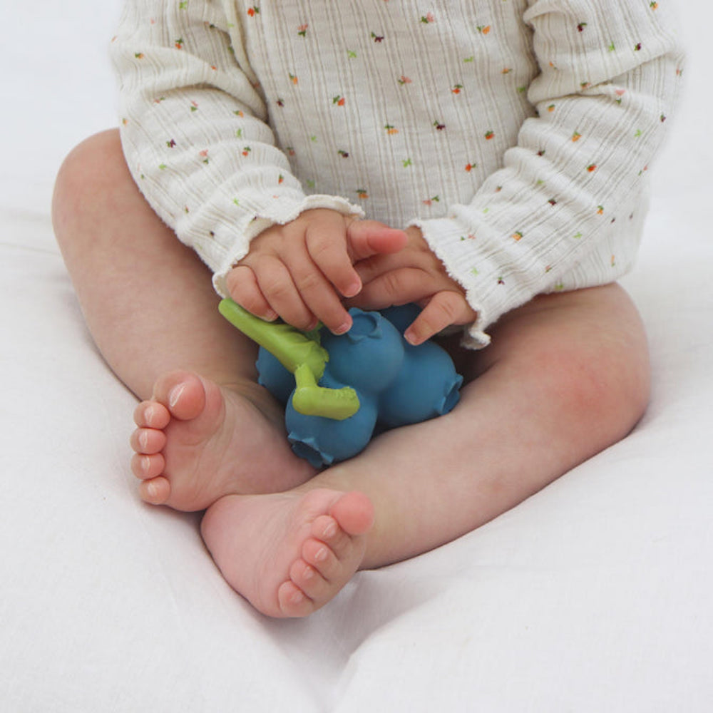 Jerry The Blueberry Teether