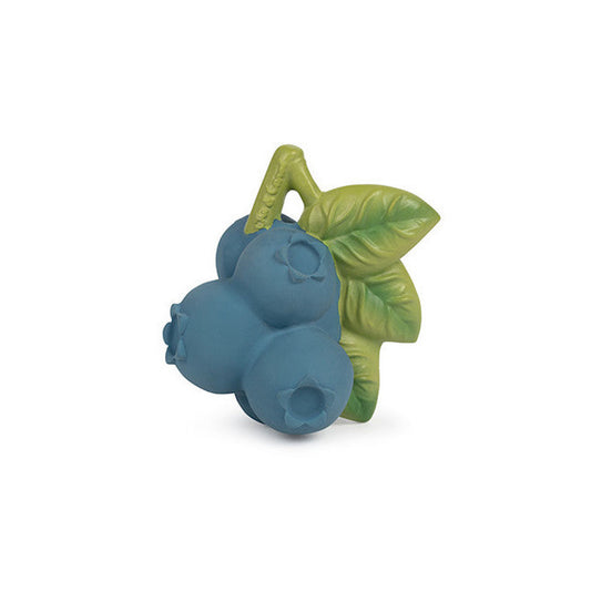 Jerry The Blueberry Teether