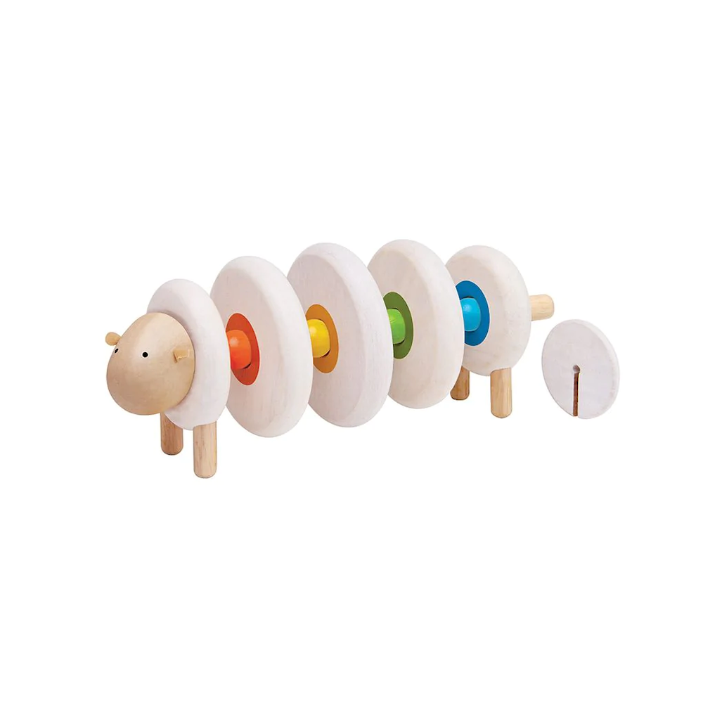 Lacing Sheep